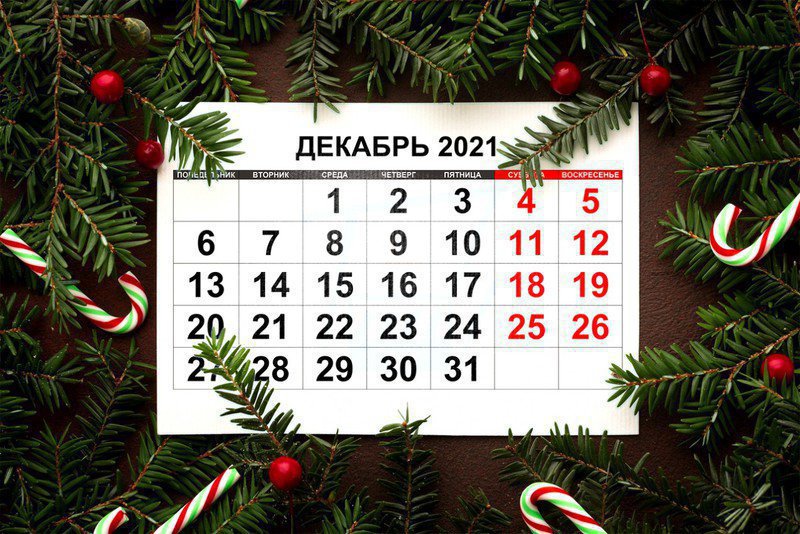 Новогодние каникулы 2021/2022 начнутся 31-го декабря - Минтруд – Томикс